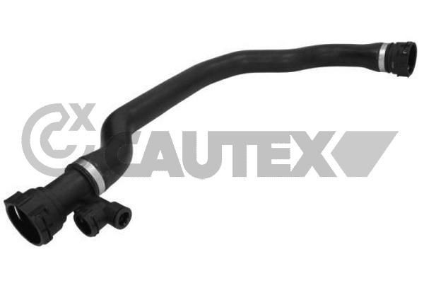CAUTEX Flessibile radiatore 771791 771791 CAUTEX Tubi radiatore prezzo