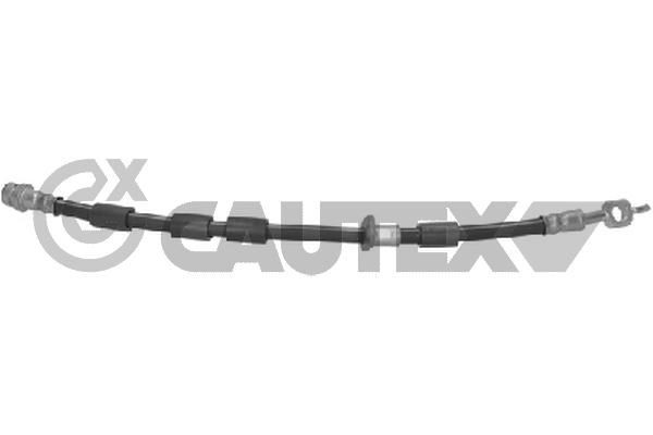 CAUTEX Remslang 771795 771795 Remslangen RENAULT MEGANE CAUTEX