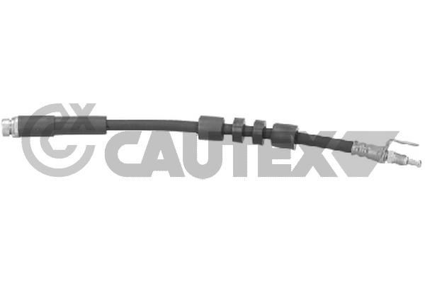 CAUTEX Remslang 771796 Renault MEGANE Remslang CAUTEX 771796