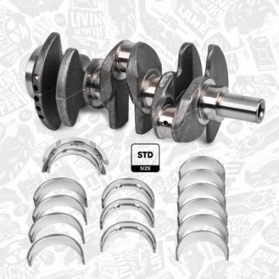 ET ENGINETEAM Cambota HK0214VR1 ET ENGINETEAM HK0214VR1 Árvore de manivelas Transit Mk3 Minibus (VE6) preço