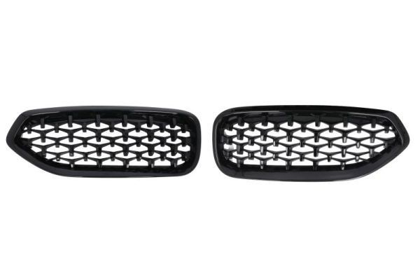 Radiator grill BLIC 6502-07-0089999P BLIC 6502-07-0089999P: Voor-grill BMW Z4 2016