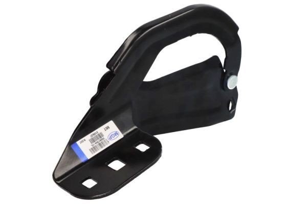 BLIC Cerniera, Cofano motore 6802-00-2579451P 6802-00-2579451P Cofano anteriore BLIC FORD GRANADA costo