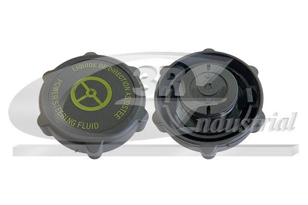 3RG Låg, kølemiddelbeholder 81318 Ekspansionsbeholder dæksel 3RG MONDEO 81318 billig