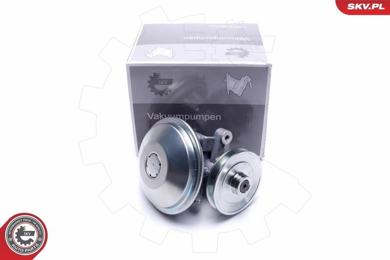 ESEN SKV Bomba de vácuo, sistema de travagem 18SKV038 Bomba de vácuo sistema de travagem ESEN SKV Seat ALHAMBRA 18SKV038