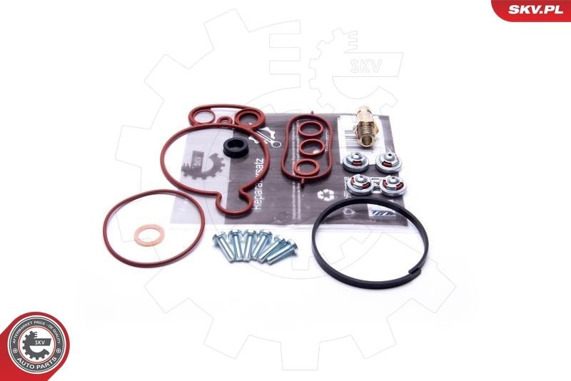 ESEN SKV Kit de réparation, pompe à vide (freinage) 18SKV805 ESEN SKV 18SKV805 Pompe à vide de freinage VW Crafter 30 Van prix