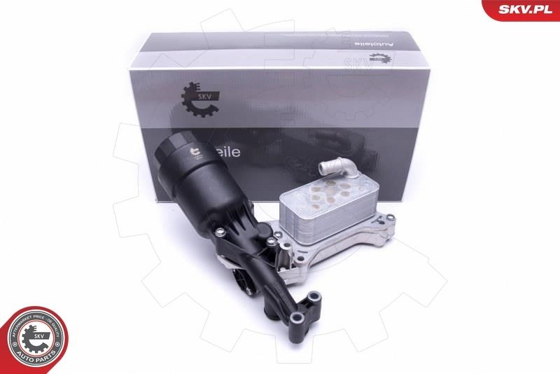 ESEN SKV Radiador de óleo, óleo do motor 31SKV171 ESEN SKV 31SKV171 Radiador de óleo do motor Mercedes-Benz W204 preço