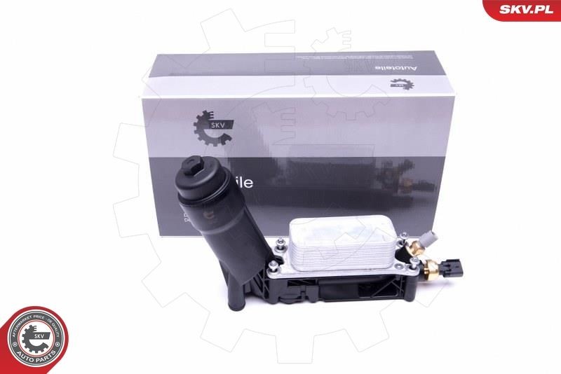 Radiador de óleo, óleo do motor ESEN SKV 31SKV172 ESEN SKV 31SKV172: Radiador de óleo do motor Chrysler 300 2001