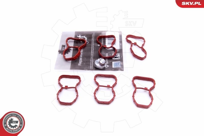ESEN SKV Kit de reparação, módulo do tubo de aspiração 49SKV520 49SKV520 Junta de coletor de admissão ESEN SKV MAZDA MX-5
