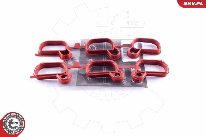 ESEN SKV Reparatieset, zuigbuismodule 49SKV651 Lexus ES Inlaatspruitstuk pakking ESEN SKV 49SKV651