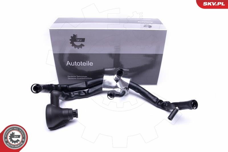 ESEN SKV Voolik, Karterituulutus 54SKV042 Karterituulutus AUDI ESEN SKV 54SKV042