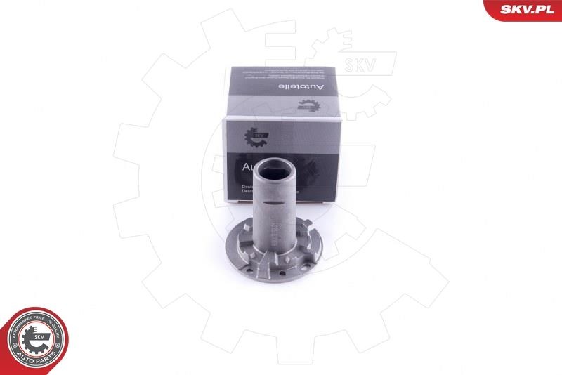 ESEN SKV Fäste, backspegelkåpa 96SKV132 96SKV132 ESEN SKV backspeglar RENAULT MASTER