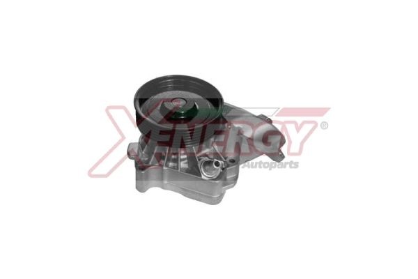 AP XENERGY Vodné čerpadlo X208092 Vodné čerpadlo AP XENERGY 911 X208092 lacné