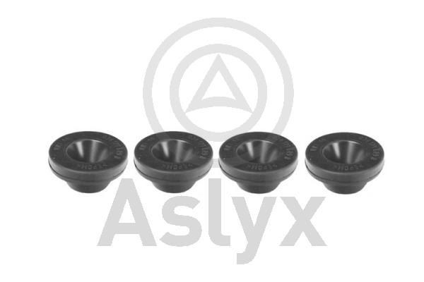 Aslyx Spilvens, Gaisa filtrs AS-507012 Kronšteins, gaisa filtra korpuss Aslyx 407 AS-507012 lēti