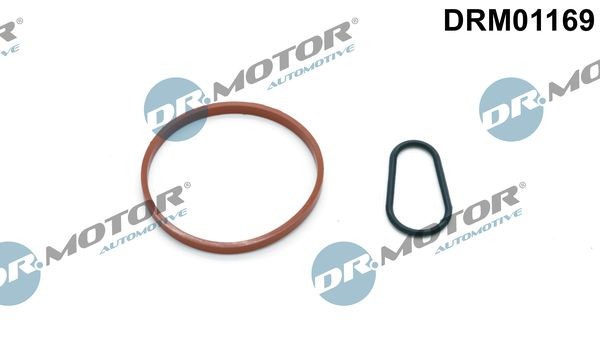 DR.MOTOR AUTOMOTIVE Pakkingset, onderdrukpomp DRM01169 DR.MOTOR AUTOMOTIVE DRM01169 Onderdrukpomp BMW X3 originele