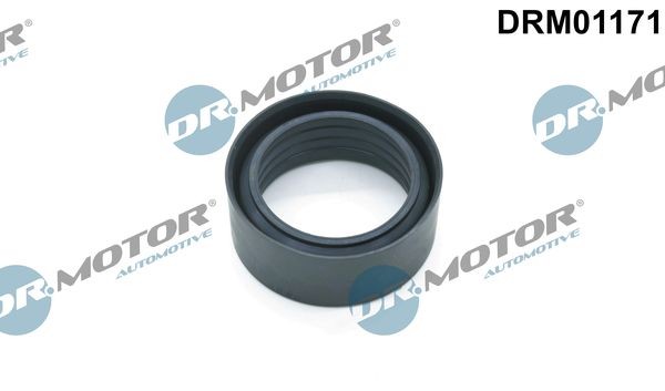DR.MOTOR AUTOMOTIVE Bague d'étanchéité, gaine de suralimentation DRM01171 DRM01171 Bague d'étanchéité, gaine de suralimentation CHEVROLET SUBURBAN DR.MOTOR AUTOMOTIVE