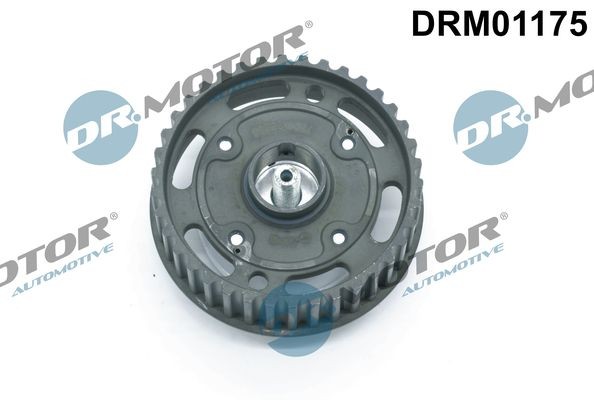 DR.MOTOR AUTOMOTIVE Nastavovač vačkového hriadeľa DRM01175 Ozubené koleso vačkového hriadeľa LAND ROVER DR.MOTOR AUTOMOTIVE DRM01175