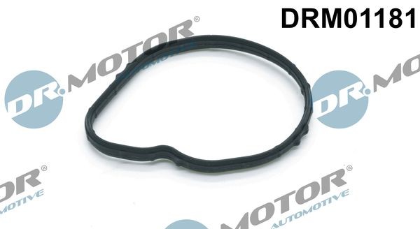 DR.MOTOR AUTOMOTIVE Packning, termostat DRM01181 LAND ROVER kylsystsemstätningar DR.MOTOR AUTOMOTIVE DRM01181