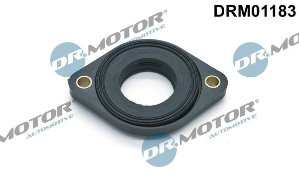 DR.MOTOR AUTOMOTIVE Tesnenie, nastavenie vačkového hriadeľa DRM01183 Tesnenie pod veko ventilov BMW E53 DRM01183 DR.MOTOR AUTOMOTIVE