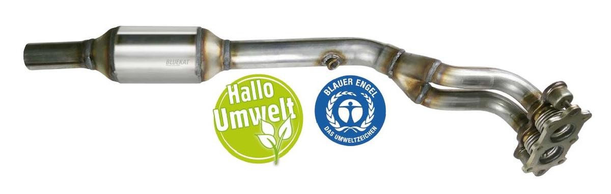 BLUEKAT Catalytic converter 22304006 BLUEKAT 22304006 Catalytic converter