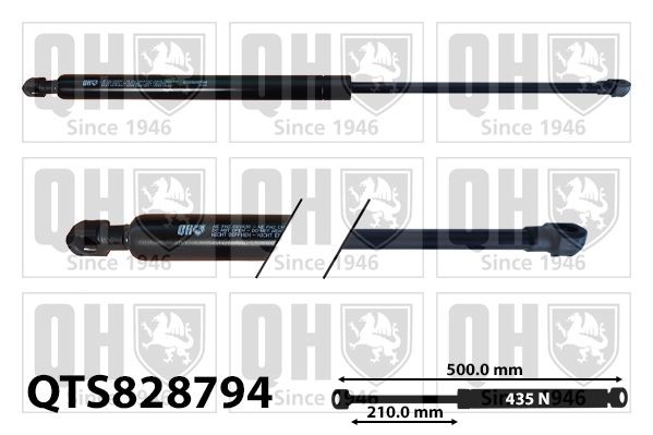 QUINTON HAZELL Bagklapsdæmper QTS828794 QUINTON HAZELL QTS828794 Renault Trafic Bus T5 Støddæmper til bagklap originale pris