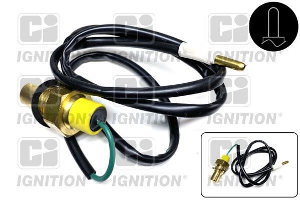 QUINTON HAZELL Sensor, oljetemperatur XTS19 Oljetemperatur sensor SMART QUINTON HAZELL XTS19