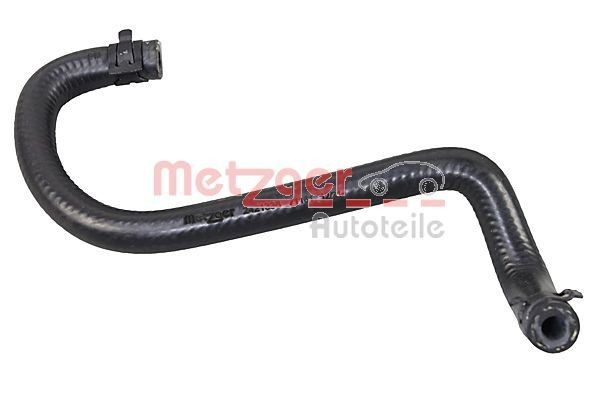 METZGER Kühlerschlauch 2421336 2421336 METZGER Kühlwasserschlauch FORD C-MAX kaufen