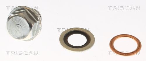 TRISCAN Ölablassschraube 9500 1001-20 TRISCAN 9500 1001-20 Verschlussschraube Mitsubishi Galant 3 Kosten