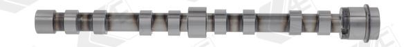 AE Nokkenas CAM1026 CAM1026 Nokken-as IVECO Daily AE
