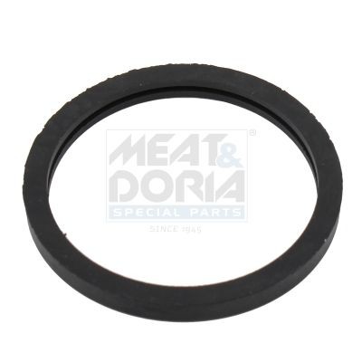 MEAT & DORIA Guarnizione, Termostato 01668 01668 Guarnizione di tenuta acqua raffreddamento MEAT & DORIA NISSAN PRIMASTAR costo