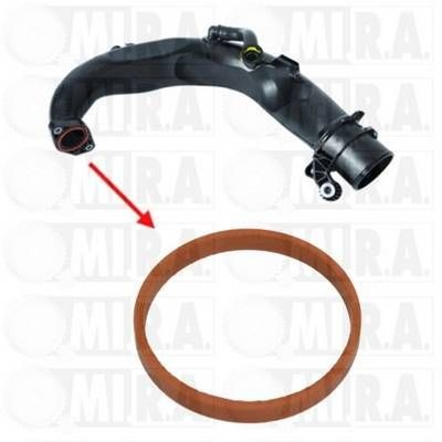 MI.R.A. Dichtring, laadluchtslang 16/3925G MI.R.A. 16/3925G Dichtring, laadluchtslang Renault Clio 4 originele prijs