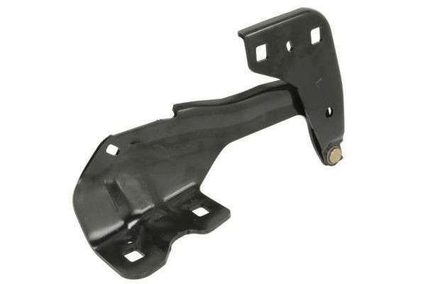 BLIC Scharnier, motorkap 6802-00-2598451P BLIC 6802-00-2598451P Motorkap Ford Mustang MK5 originele prijs