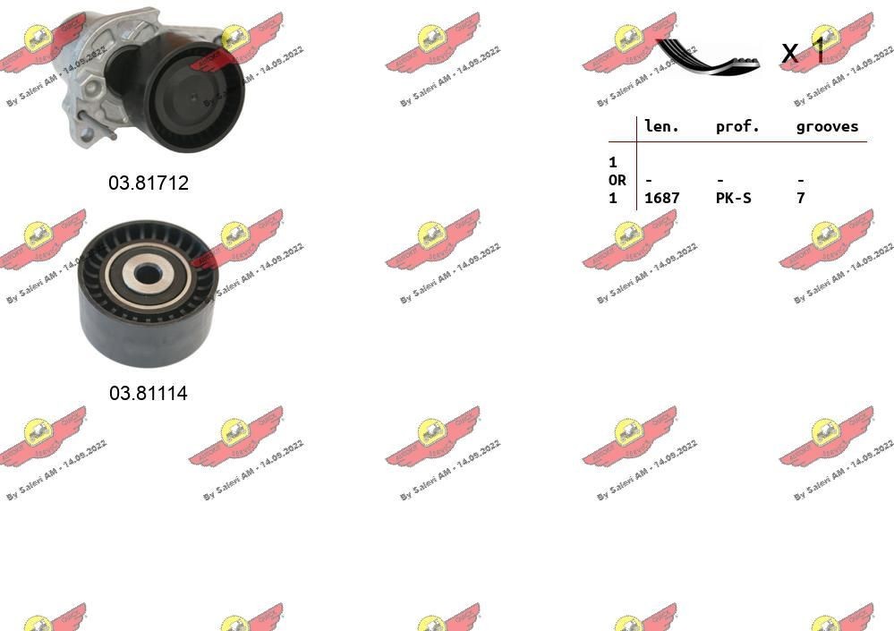 AUTOKIT Poly V-riem set 06.0133 AUTOKIT Accessoireriem AUDI 06.0133