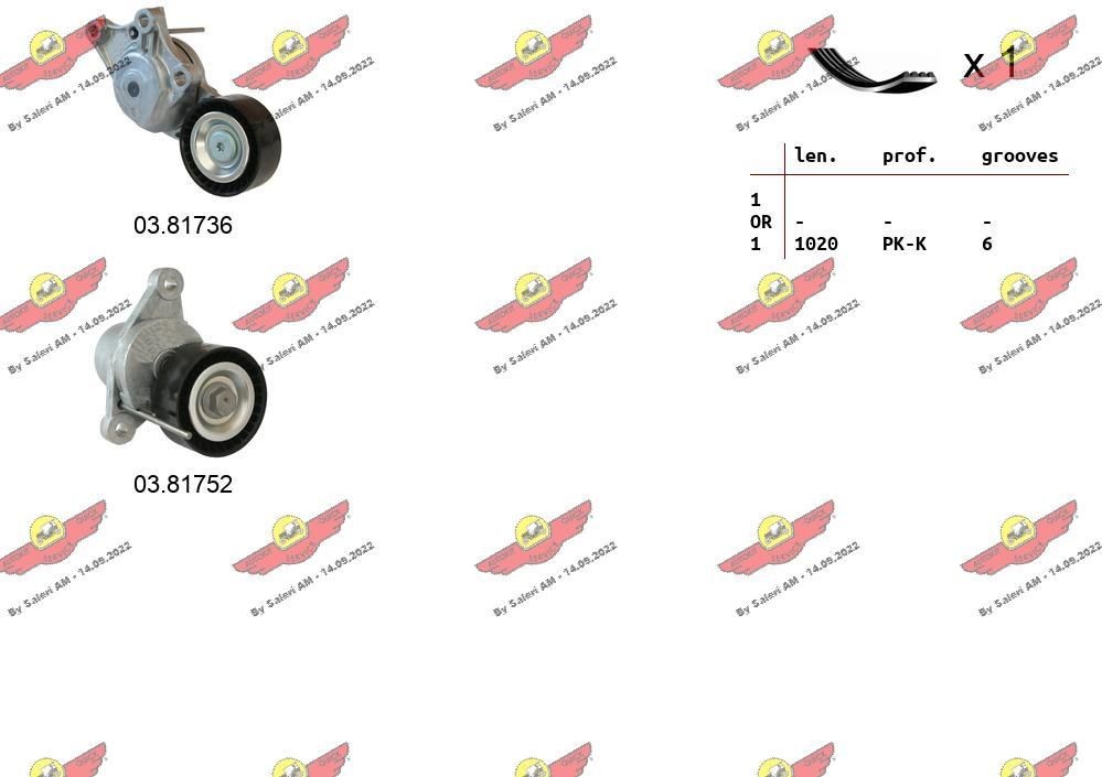 AUTOKIT Poly V-riem set 06.0135 AUTOKIT Multiriem AUDI 06.0135