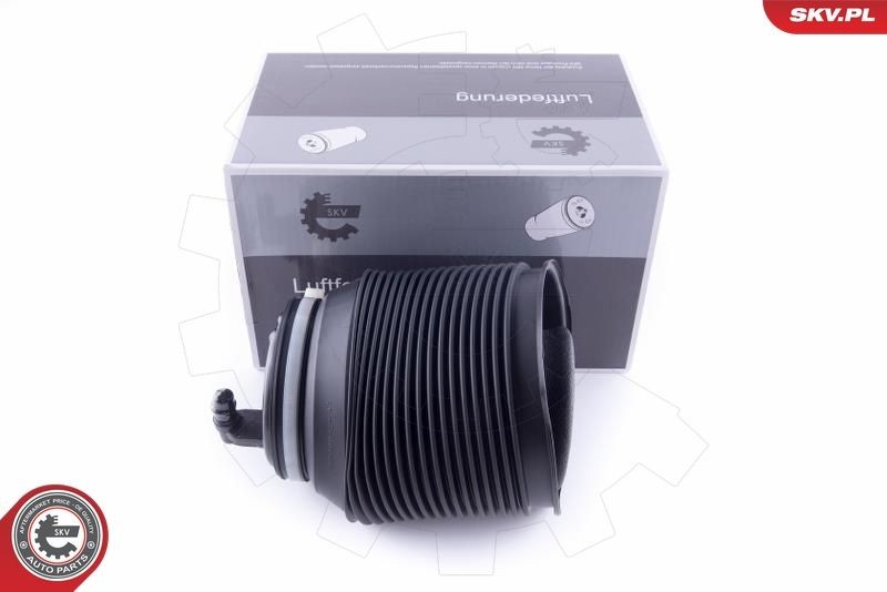 ESEN SKV Αερόσουστα, σύστημα ανάρτησης 58SKV006 ESEN SKV 58SKV006 Φούσκα, πνευματική ανάρτηση LEXUS τιμες