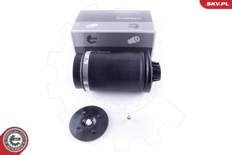 ESEN SKV Αερόσουστα, σύστημα ανάρτησης 58SKV020 58SKV020 ESEN SKV Φούσκα, πνευματική ανάρτηση Opel φθηνά