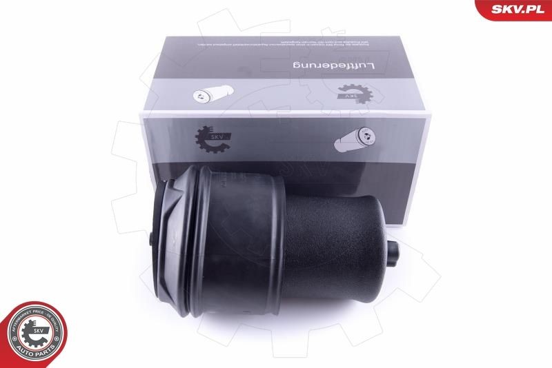 ESEN SKV Ressort pneumatique 58SKV022 ESEN SKV 58SKV022 Soufflet à air suspension pneumatique Peugeot 208 CC à un prix avantageux
