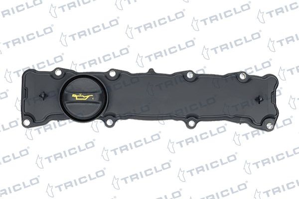 TRICLO Coperchio punterie 390383 390383 costo Testata TRICLO BMW X5