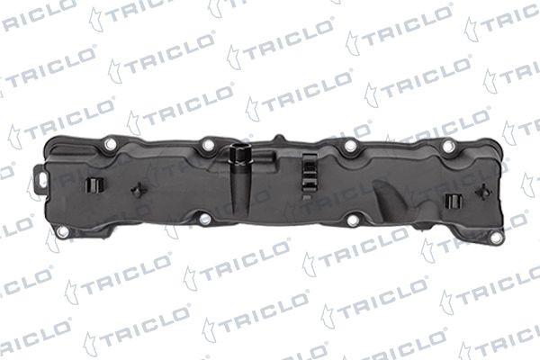 TRICLO Rocker cover 390384 BMW 2 Series TRICLO cylinder head 390384
