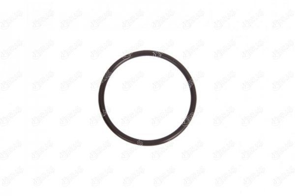 IBRAS Tesniaci krúżok hadice plniaceho vzduchu 14729 Tesniaci krúżok hadice plniaceho vzduchu IBRAS Fiat 500 14729