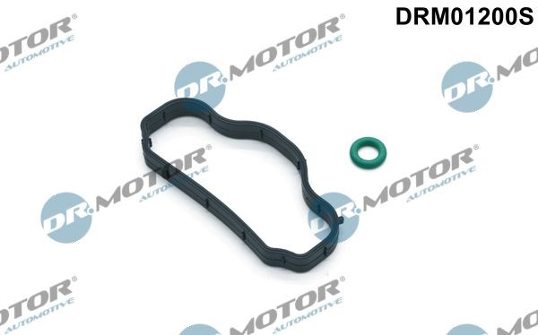 Pakningssæt, ventildæksel DR.MOTOR AUTOMOTIVE DRM01200S DR.MOTOR AUTOMOTIVE DRM01200S: Ventildækselpakning Ford FOCUS 2023