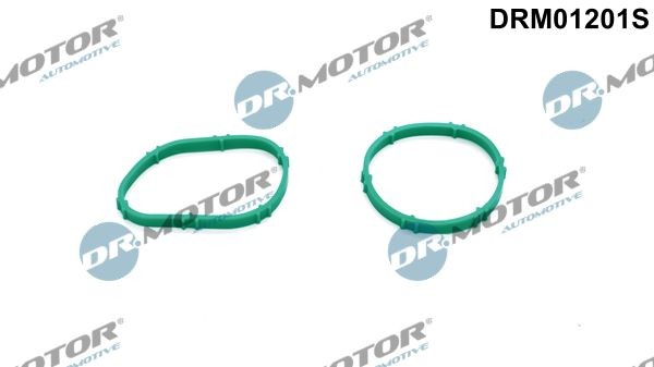 DR.MOTOR AUTOMOTIVE Dichtungssatz, Ansaugkrümmer DRM01201S DRM01201S DR.MOTOR AUTOMOTIVE Ansaugkrümmerdichtung Ford Transit Custom Kastenwagen Kosten