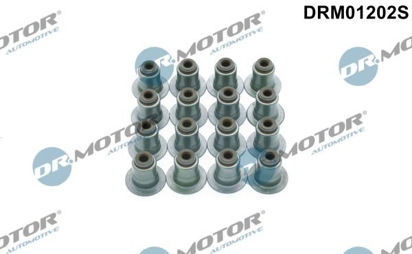 DR.MOTOR AUTOMOTIVE Tihendikomplekt, Klapisäär DRM01202S DR.MOTOR AUTOMOTIVE DRM01202S Klapisääretihend Ford Focus IV HN originaal hind