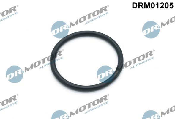 DR.MOTOR AUTOMOTIVE Blīve, Ūdenssūknis DRM01205 Dzesēšanas šķidruma sistēmas blīvēšana DR.MOTOR AUTOMOTIVE C-HR DRM01205 lēti