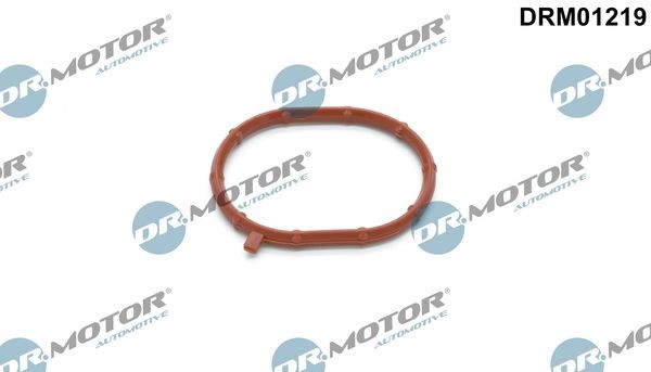 DR.MOTOR AUTOMOTIVE Tetningsring, lader DRM01219 Klimakompressor DR.MOTOR AUTOMOTIVE IBIZA DRM01219 billige