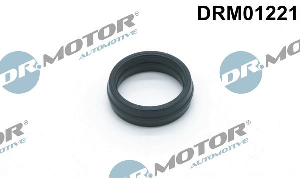 DR.MOTOR AUTOMOTIVE Pakking voor het oliefilterhuis DRM01221 Pakking, oliefilteromkasting DR.MOTOR AUTOMOTIVE A3 DRM01221 goedkoop
