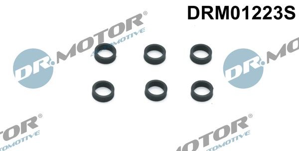 DR.MOTOR AUTOMOTIVE Blīvgredzens, Sprauslas korpuss DRM01223S DR.MOTOR AUTOMOTIVE DRM01223S Blīvgredzens, Sprauslas korpuss BMW 5 Sedan (F10) 535 i 326 ZS 2014