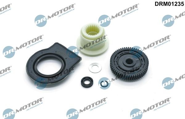 DR.MOTOR AUTOMOTIVE Súprava na opravu, výstupný hriadeľ prevodovky (ASG) DRM01235 DR.MOTOR AUTOMOTIVE DRM01235 Súprava na opravu, výstupný hriadeľ prevodovky (ASG)