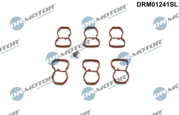 DR.MOTOR AUTOMOTIVE Remondikomplekt, imitoru moodul DRM01241SL Sisselaskekollektori tihend DR.MOTOR AUTOMOTIVE 1. Seeria DRM01241SL odav