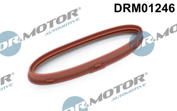 DR.MOTOR AUTOMOTIVE Tesniaci krúżok turbodúchadla DRM01246 Klimatizácia Mercedes S212: Tesniaci krúżok turbodúchadla DR.MOTOR AUTOMOTIVE DRM01246