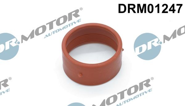 DR.MOTOR AUTOMOTIVE Στεγανοποιητικός δακτύλιος, ελαστικός σωλήνας αέρα υπερπλήρ. DRM01247 Στεγανοποιητικός δακτύλιος, ελαστικός σωλήνας αέρα υπερπλήρ. DR.MOTOR AUTOMOTIVE Seat IBIZA DRM01247